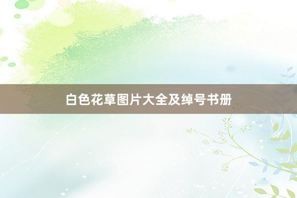 白色花草图片大全及绰号书册