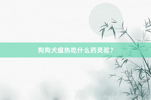 狗狗犬瘟热吃什么药灵验？